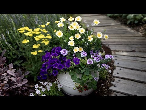 Flowers + Edibles Container Inspiration!