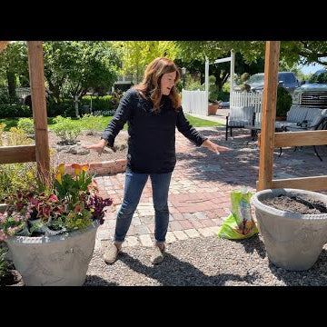 I LOVE This Combination of Plants + Greenhouse Update!
