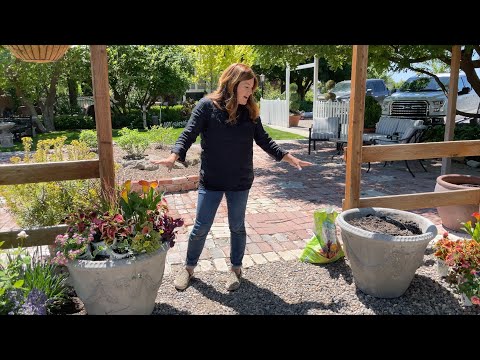 I LOVE This Combination of Plants + Greenhouse Update!
