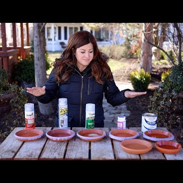 Testing 5 Different Sealers on Terracotta Saucers! Which One is the Best?