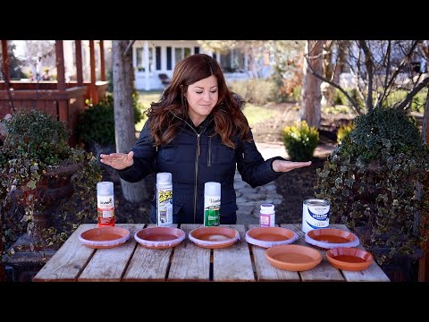 Testing 5 Different Sealers on Terracotta Saucers! Which One is the Best?