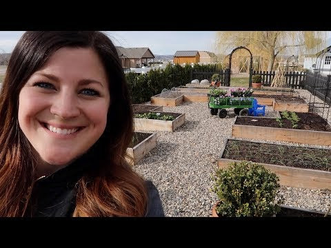 Planting Spring Crops!