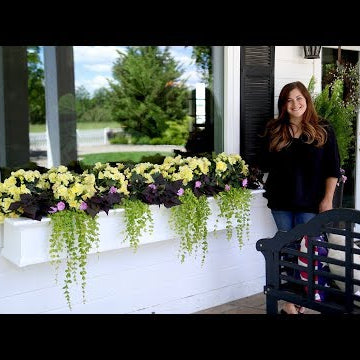 Gorgeous Shade Arrangement in Window Boxes