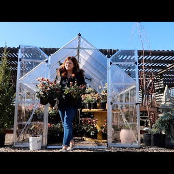 Cleaning Out & Planting Pots for Spring!