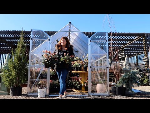 Cleaning Out & Planting Pots for Spring!
