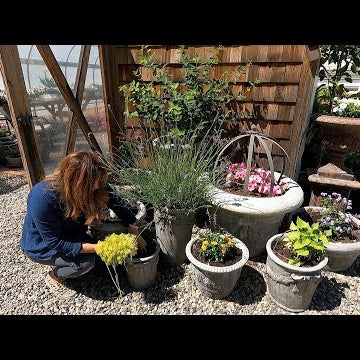 Planting Containers, Dealing with Spider Mites & One Plant Per Pot Project!