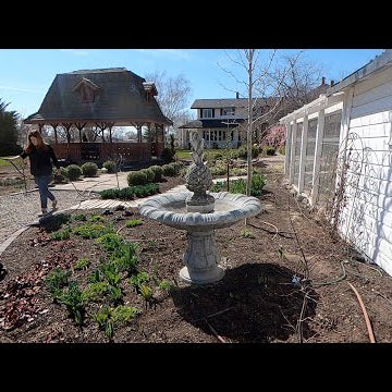 Starting Up Our Fountains, & Planting Flowers & Onions!