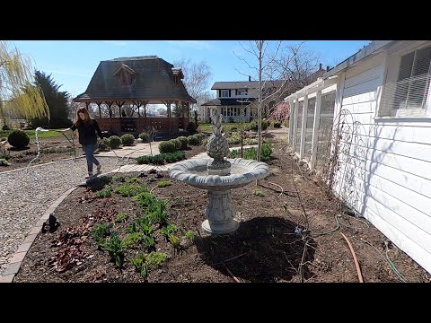 Starting Up Our Fountains, & Planting Flowers & Onions!