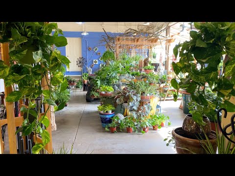 Garden Center Houseplant Tour!