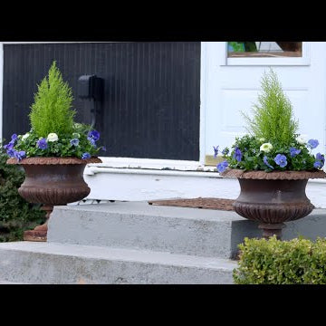 Blue & White Spring Containers!