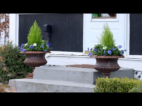 Blue & White Spring Containers!