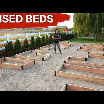 Setting up Raised Beds