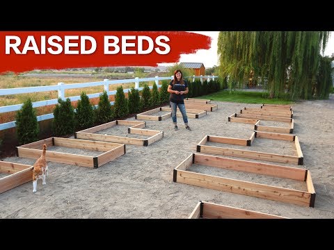 Setting up Raised Beds
