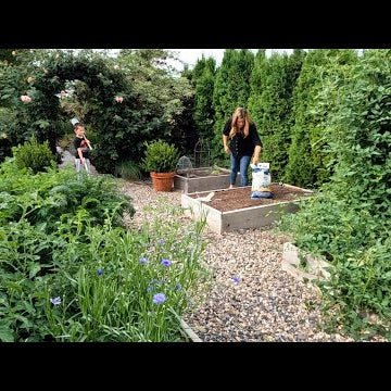 Planting Fall Crops, Cucumber Salad & Harvesting More Potatoes!