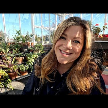 Hartley Christmas Tree, Artichoke Grooming/Planting + Finishing the Tulip Planting!