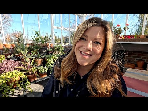 Hartley Christmas Tree, Artichoke Grooming/Planting + Finishing the Tulip Planting!