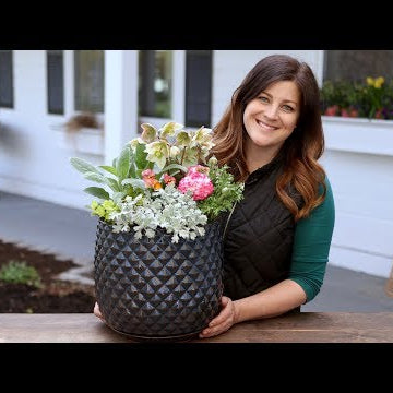 Early Spring Container Inspiration