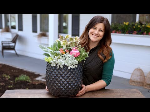 Early Spring Container Inspiration