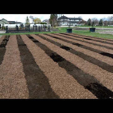 We’re Planting a BIG Rose Garden!!!