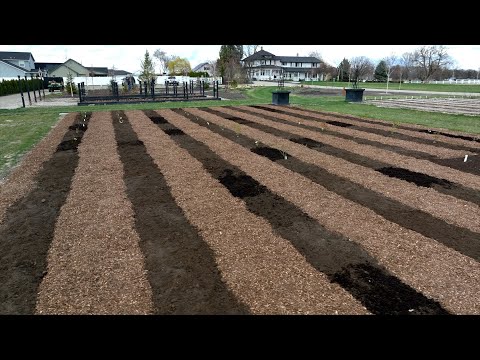 We’re Planting a BIG Rose Garden!!!