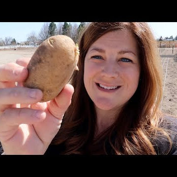 Planting Potatoes & Moving Pots!
