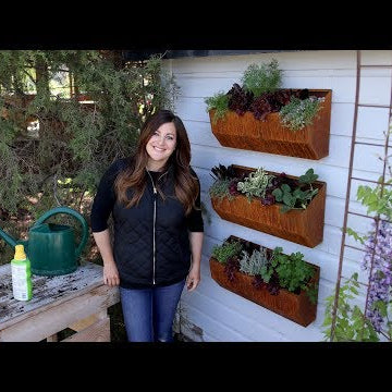 Vertical Edible Garden