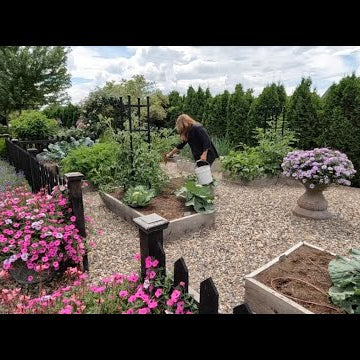 Preparing Lunch From the Garden + Fertilizing Vegetables Plants!