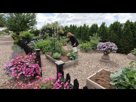 Preparing Lunch From the Garden + Fertilizing Vegetables Plants!