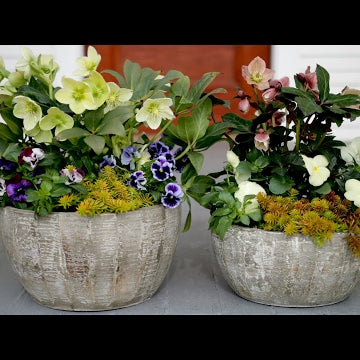 Spring Container Inspiration