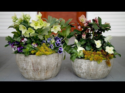 Spring Container Inspiration