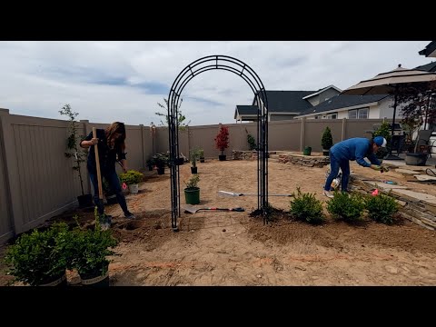Planting at My Sister’s House + Stone Wall Project Update!