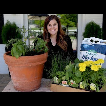 Companion Planting Basics