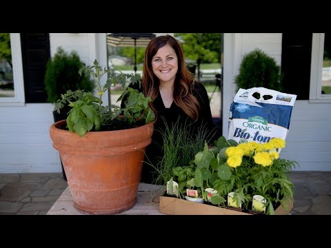 Companion Planting Basics