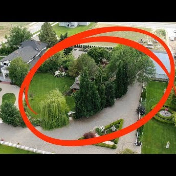 We Removed the Oak Trees!
