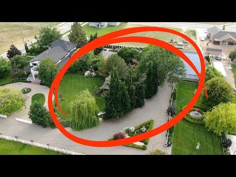 We Removed the Oak Trees!