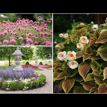 A Look Back At the Plants that Performed This Year Pt 1