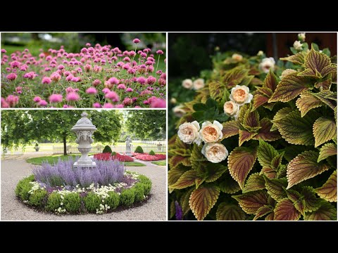 A Look Back At the Plants that Performed This Year Pt 1