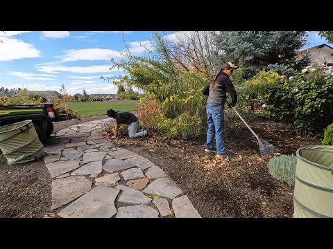Digging Dahlias & Satisfying Annual Cleanup!