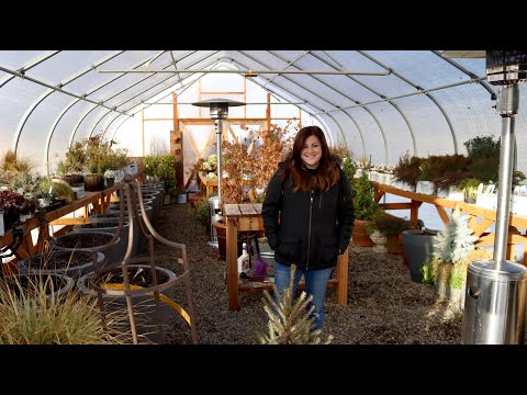 Winter Greenhouse Tour!