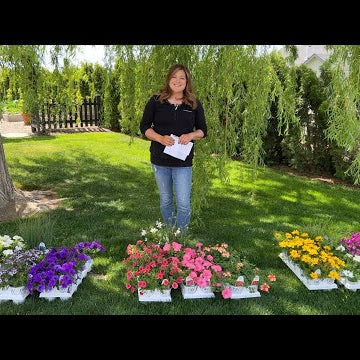 Planting 2023 Container Recipes!