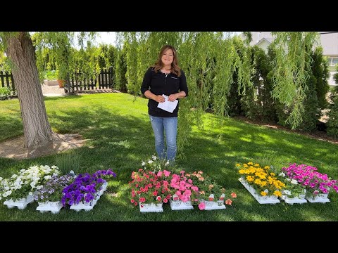 Planting 2023 Container Recipes!