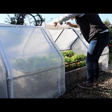 An Unimpressive Sweet Potato Harvest, Installing Some Harvest Extenders & Winterizing the Grass!