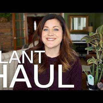 Plant Haul