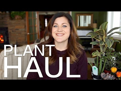 Plant Haul