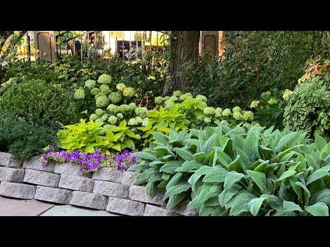 Planting Hydrangeas & Fixing a Broken Pipe!
