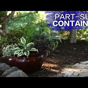 Part Sun Container