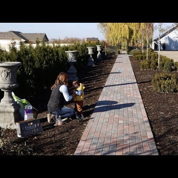 Planting MORE Bulbs!