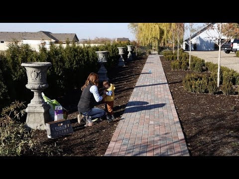 Planting MORE Bulbs!