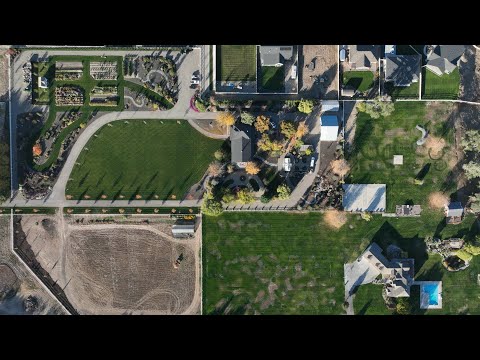 An Overview of the Layout of Our Garden (With Before & Afters)!