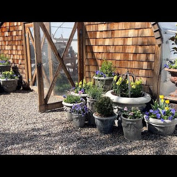 Refreshing Perennial Containers, Planting Raspyberries & the Greenhouse Pots!